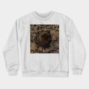 Emerging Ant Crewneck Sweatshirt